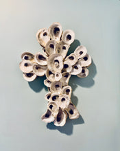 Load image into Gallery viewer, Oyster Shell Cross with a pearl handmade with love in Charleston