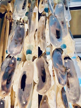 Load image into Gallery viewer, Oyster Chandelier with glass bead accents
