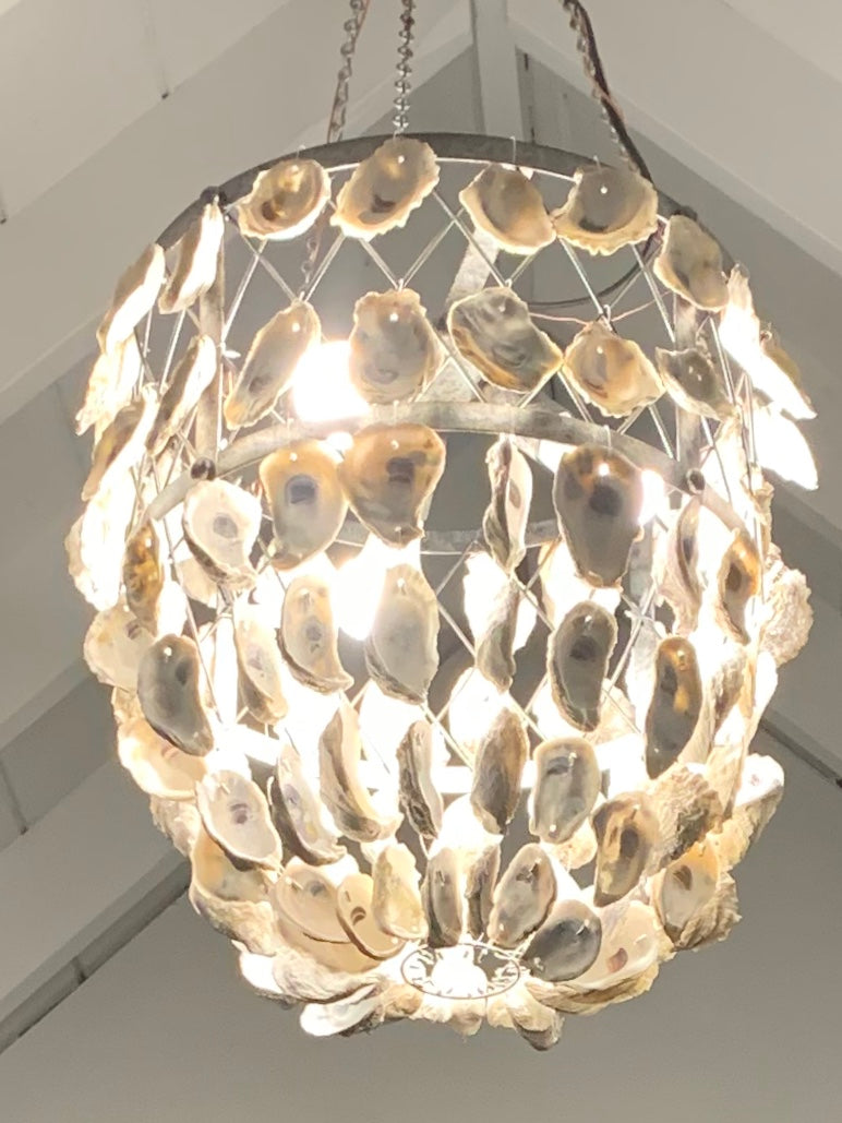 Rustic Oyster Shell Chandelier
